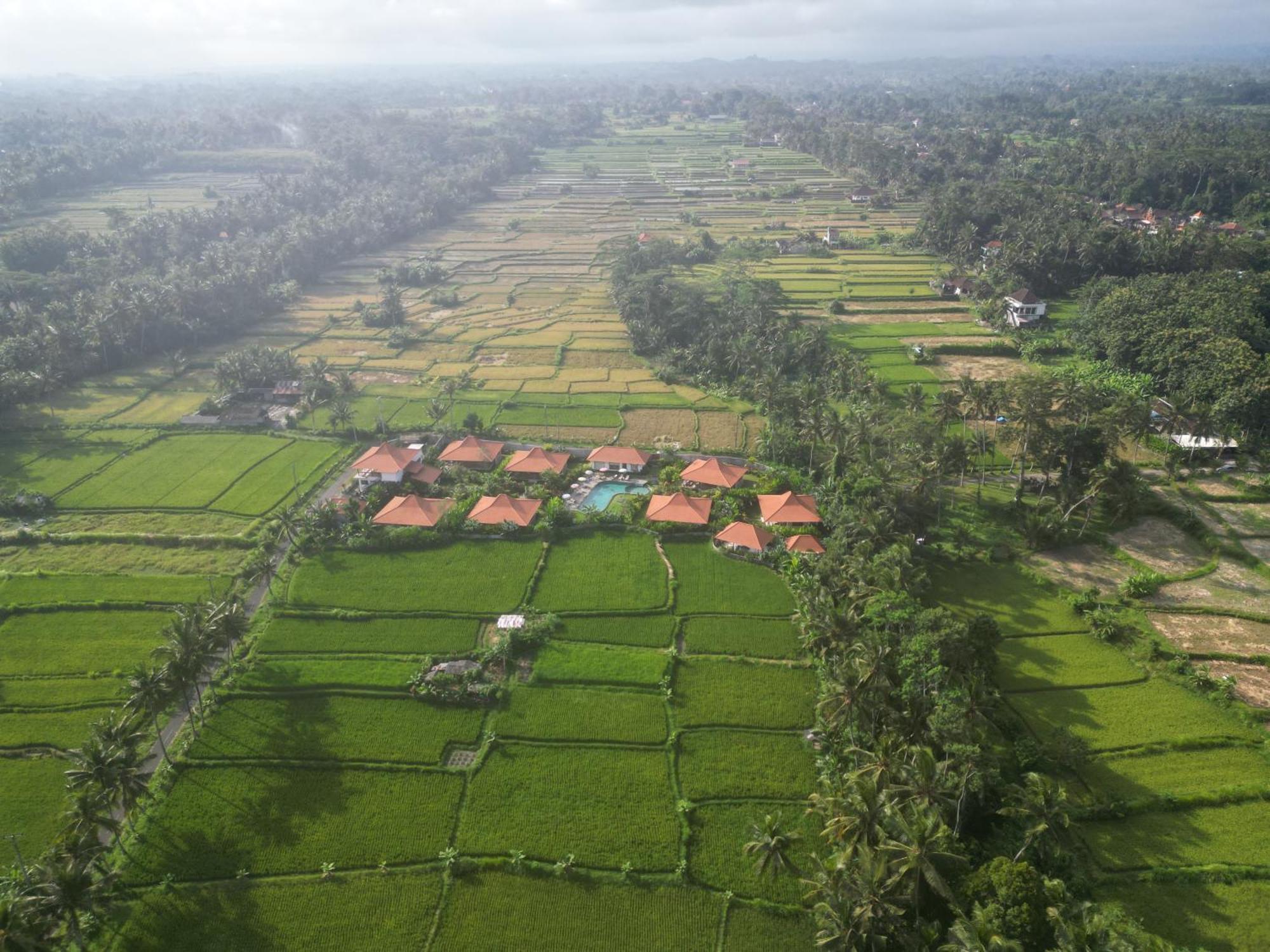 Kampung Uma Dawa Villas And Spa Ubud  Bagian luar foto
